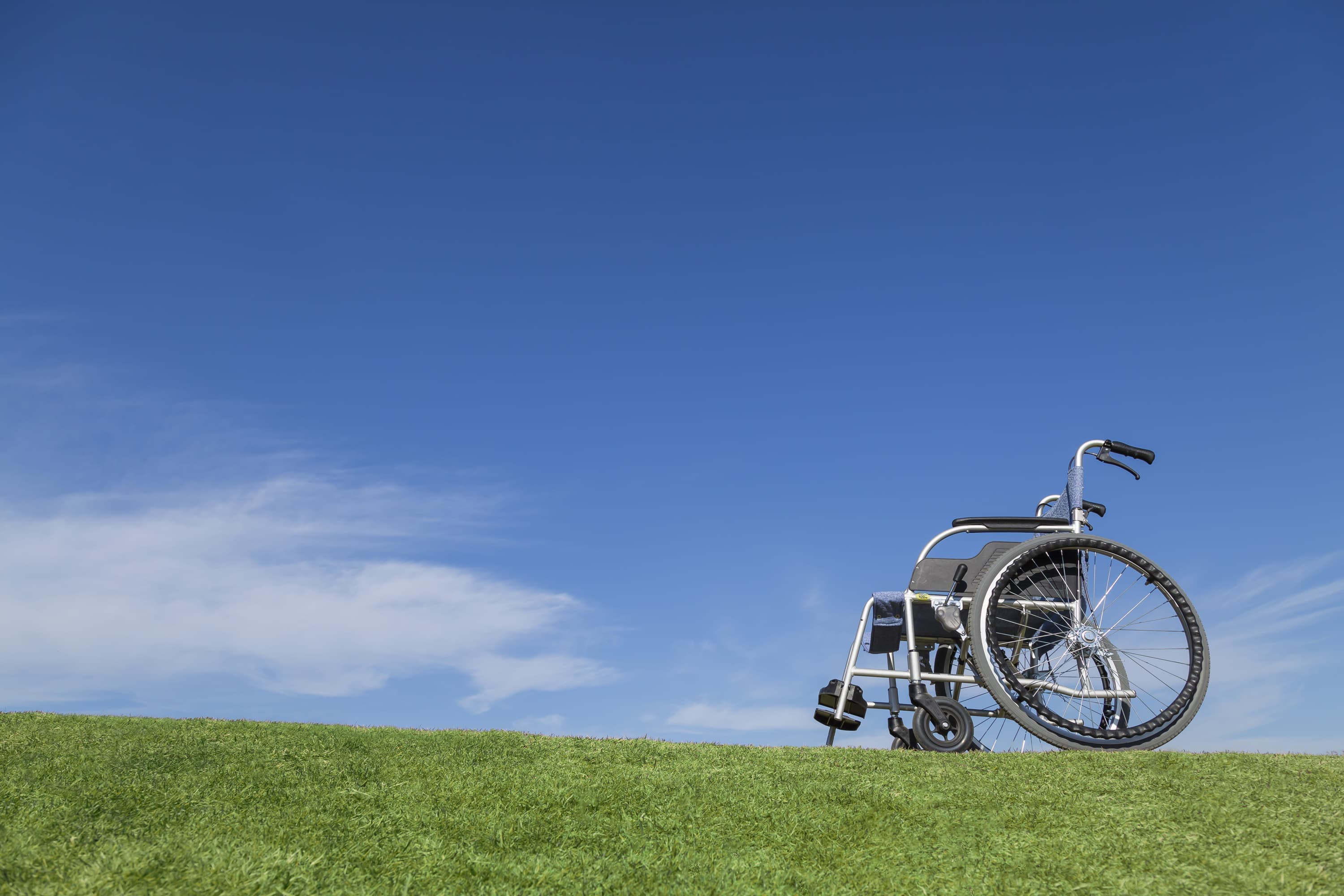 adobestock_237667023.jpg