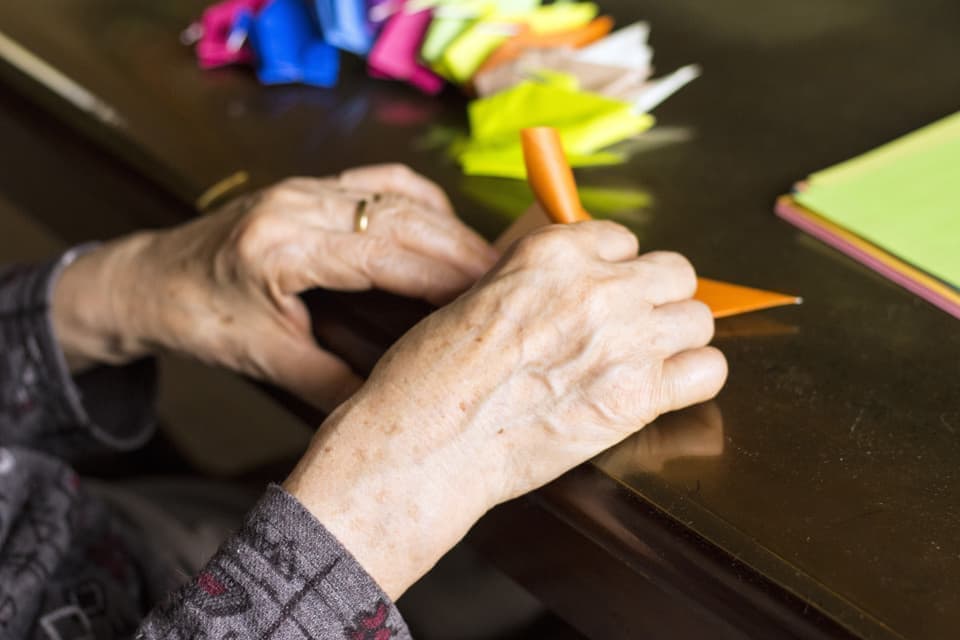 adobestock_158002053.jpg